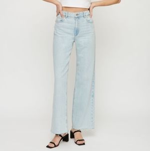 Dynamite Heidi wide leg jeans